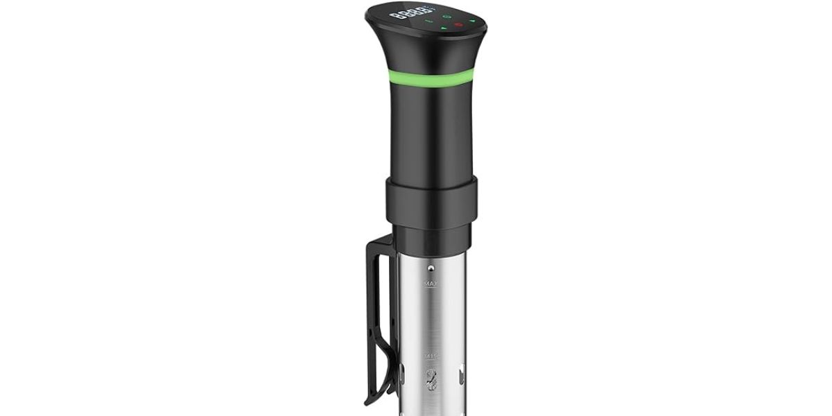 Blitzhome Sous Vide Review: Unveiling Culinary Precision
