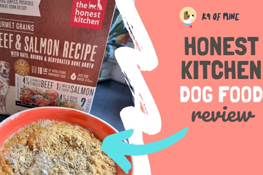 Honest Kitchen Puppy Food Reviews